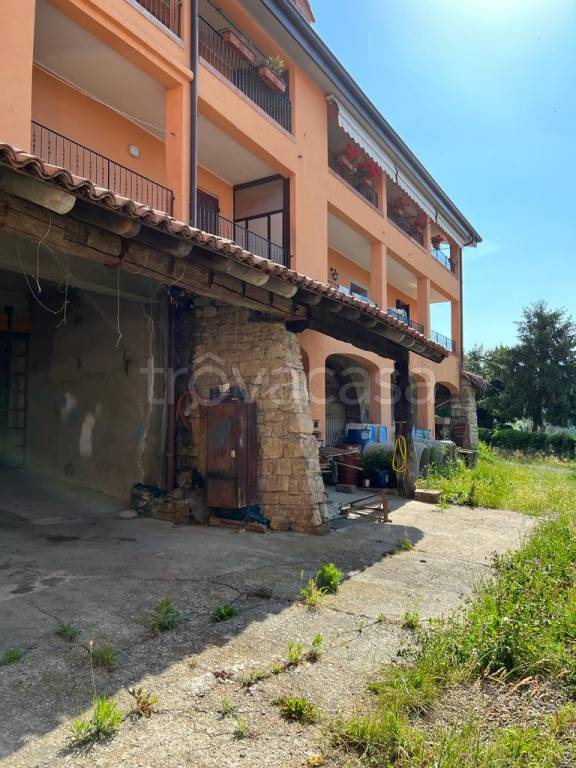 immagine annuncio 3 di 12