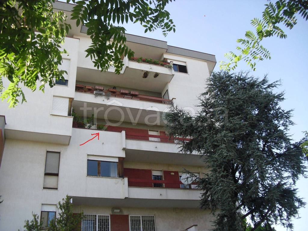Appartamento in in vendita da privato ad Adelfia piazza Trieste, 20
