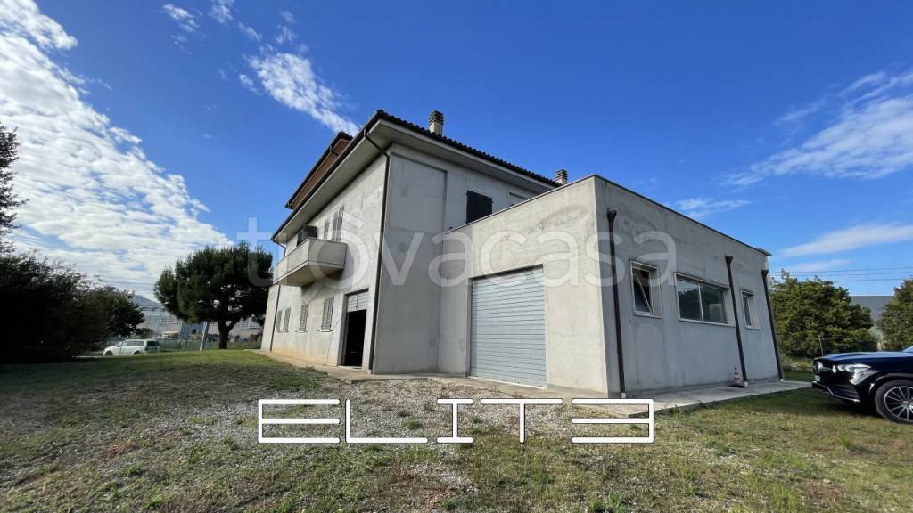 immagine annuncio 3 di 11