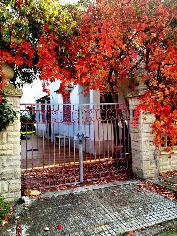 Villa in in vendita da privato a Carovigno via Monviso, 25