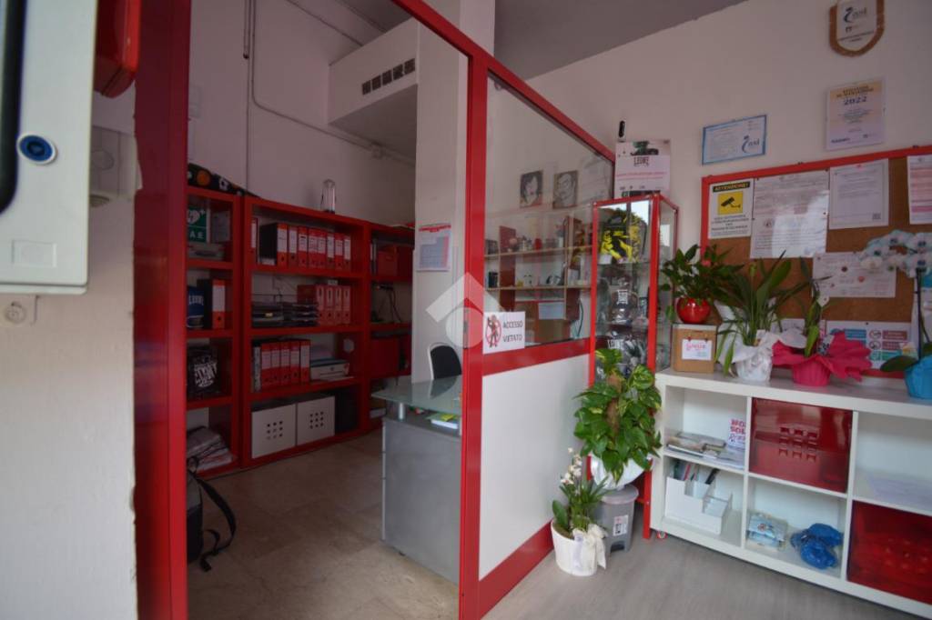 immagine annuncio 13 di 15