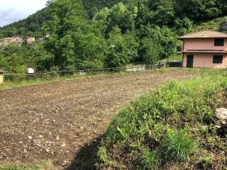 Terreno residenziale in vendita a centro valle intelvi via blessagno