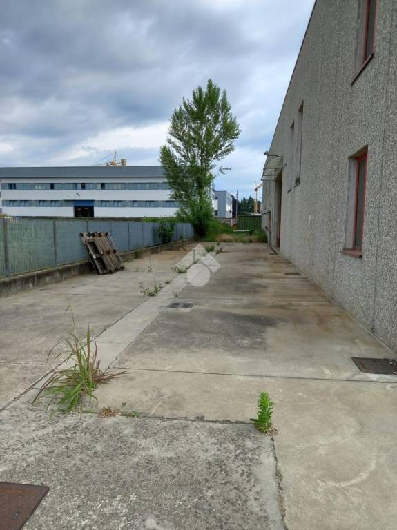 immagine annuncio 6 di 15