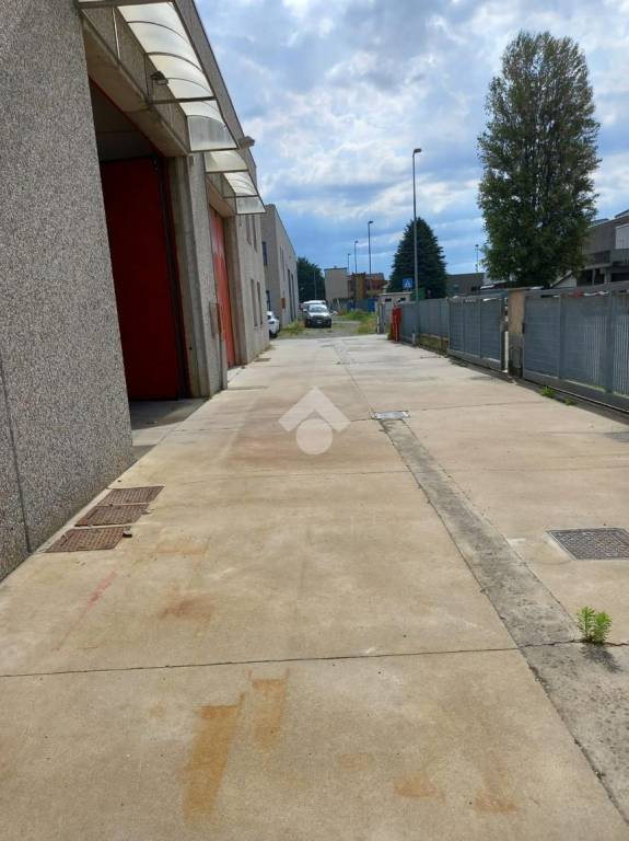 immagine annuncio 8 di 15