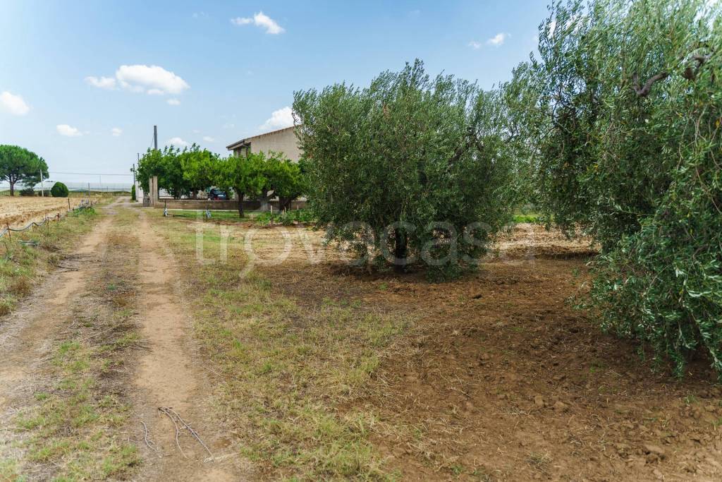 Terreno Agricolo in vendita a Pisticci via Quattro Caselli, 114