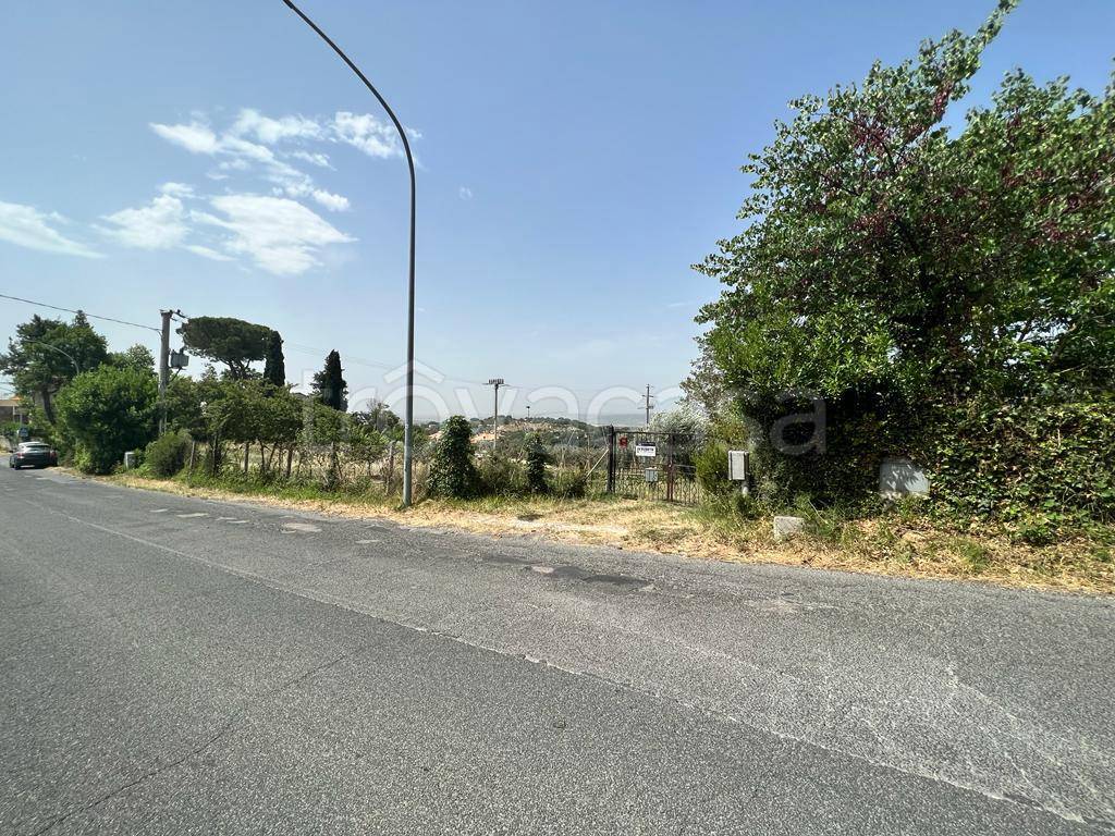 immagine annuncio 13 di 14