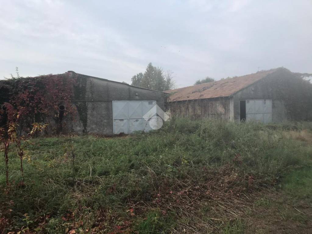 immagine annuncio 3 di 6
