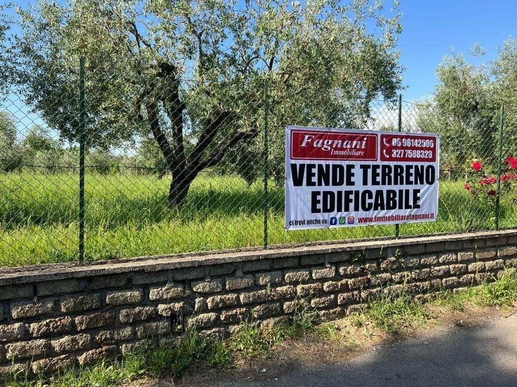 immagine annuncio 11 di 14