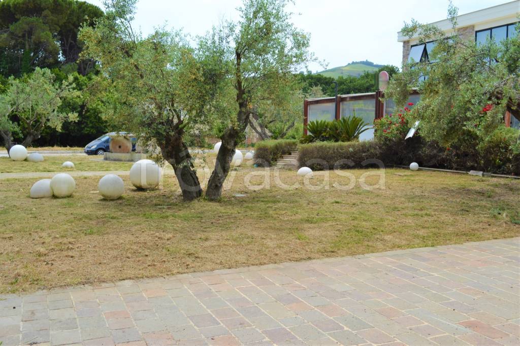immagine annuncio 12 di 15