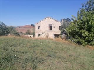 Terreno agricolo in vendita a mosciano sant'angelo contrada fosso grande