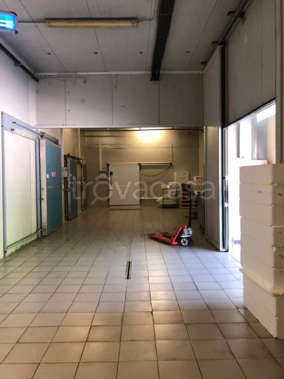 immagine annuncio 2 di 14