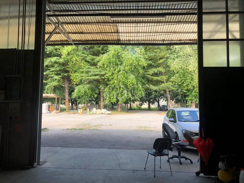 immagine annuncio 6 di 14