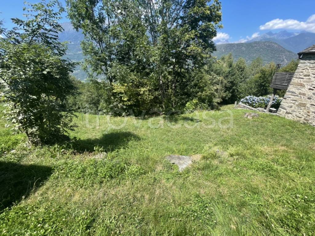 immagine annuncio 5 di 6