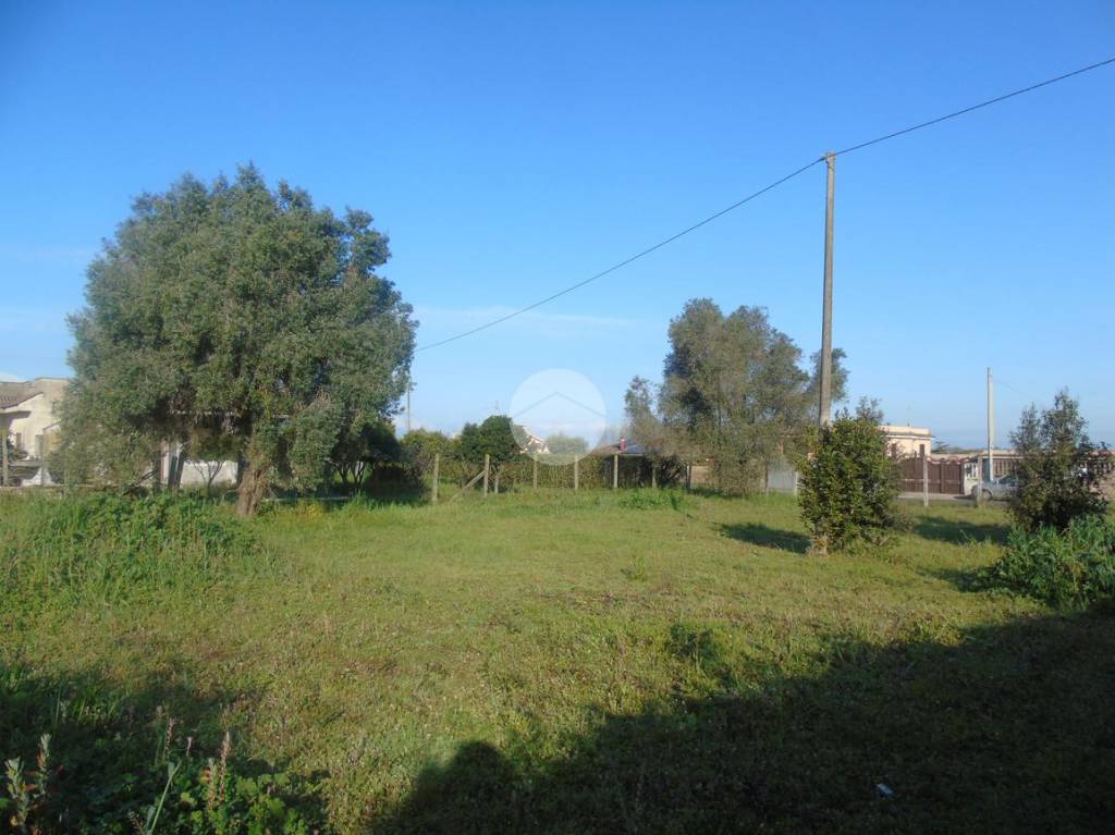 immagine annuncio 6 di 12