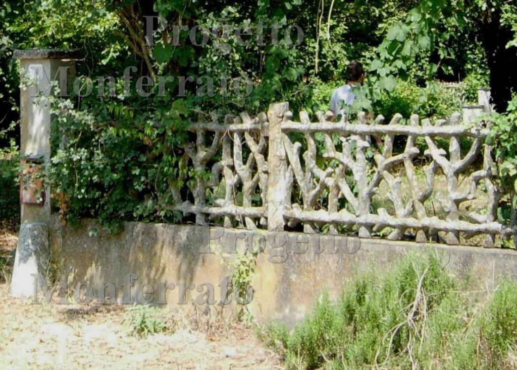 immagine annuncio 12 di 14