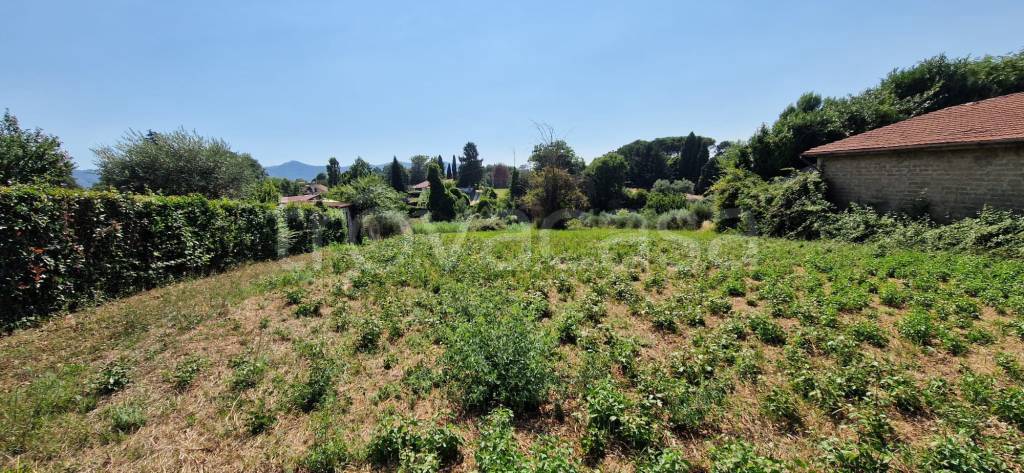 Terreno Agricolo in vendita a Zagarolo via Colle Palazzola
