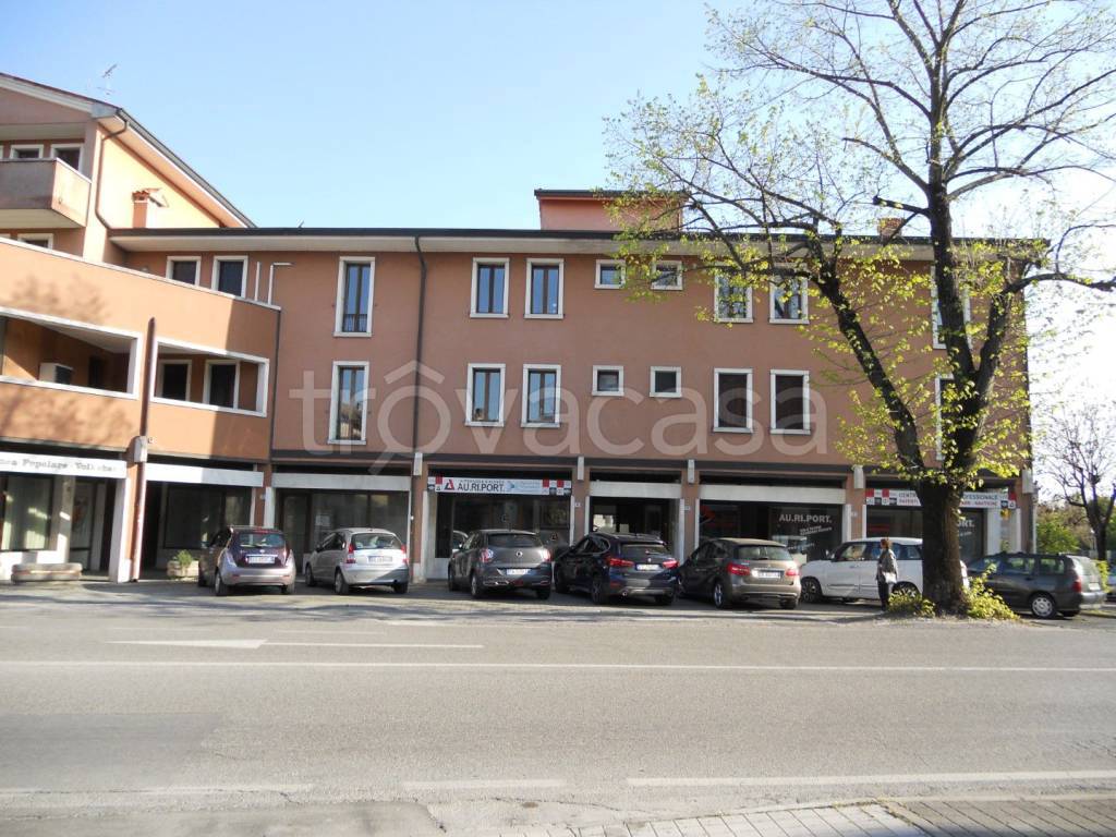 immagine annuncio 13 di 14