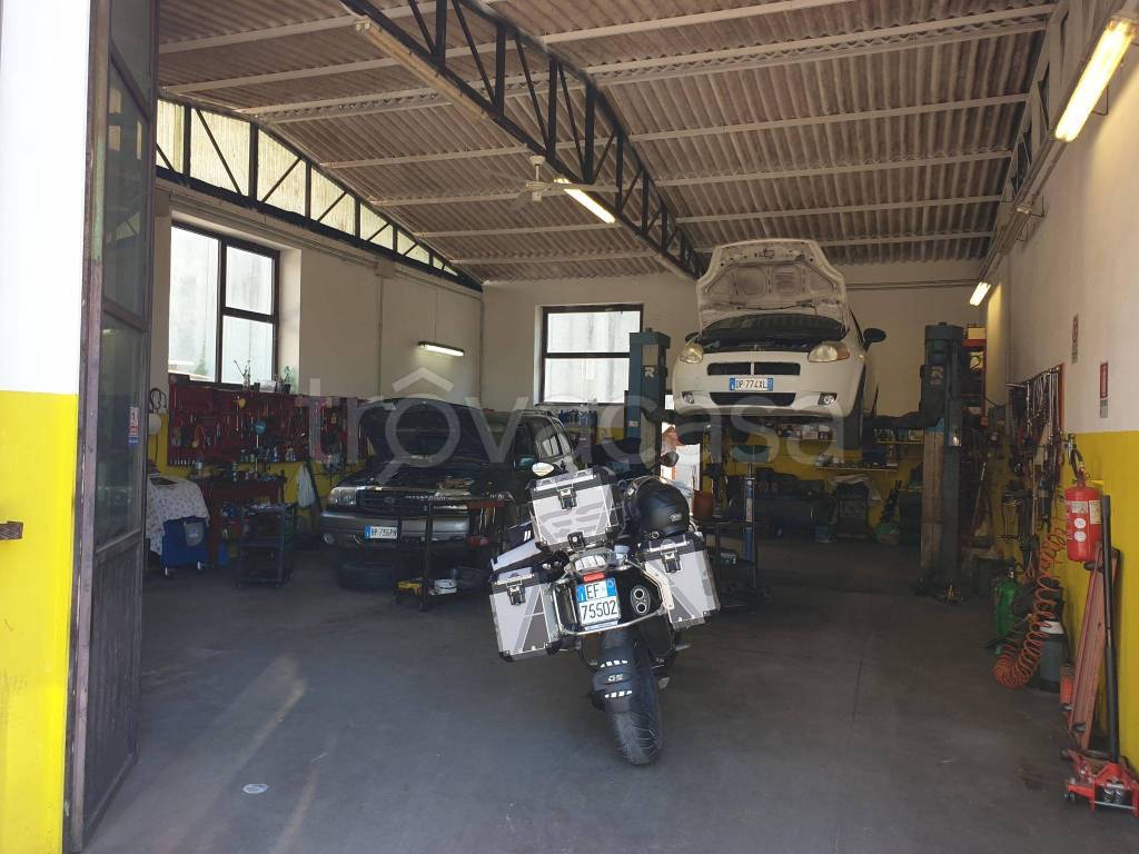 immagine annuncio 5 di 15