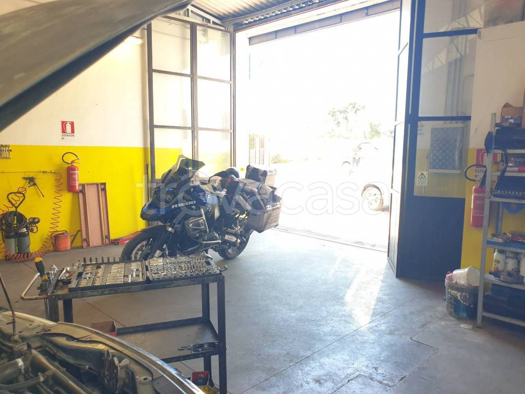 immagine annuncio 3 di 15