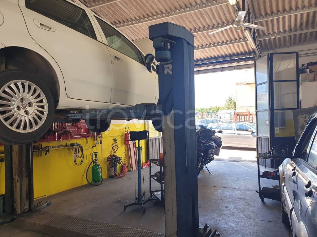 immagine annuncio 11 di 15