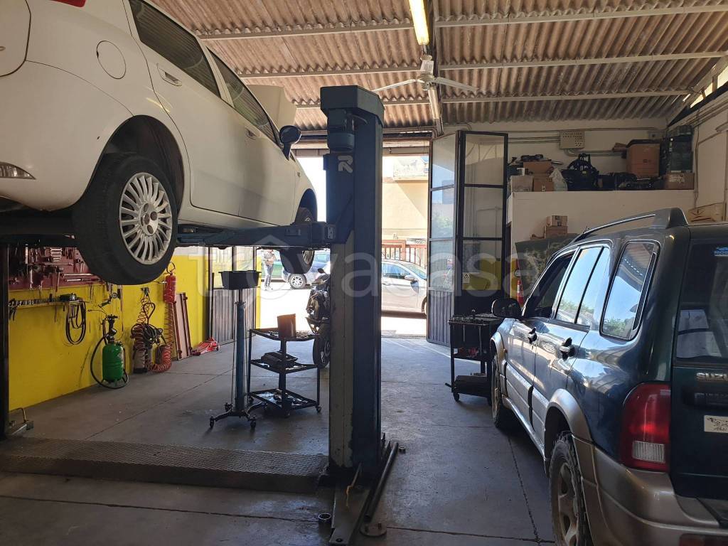 immagine annuncio 12 di 15