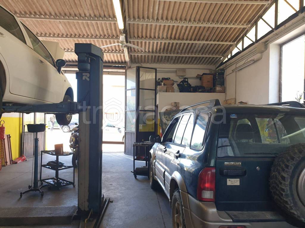 immagine annuncio 2 di 15