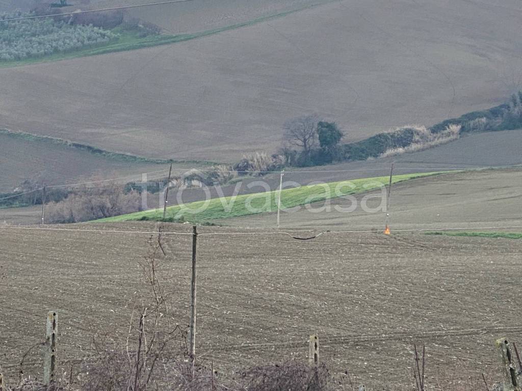 Terreno Agricolo in vendita a Pesaro strada di Valcelli