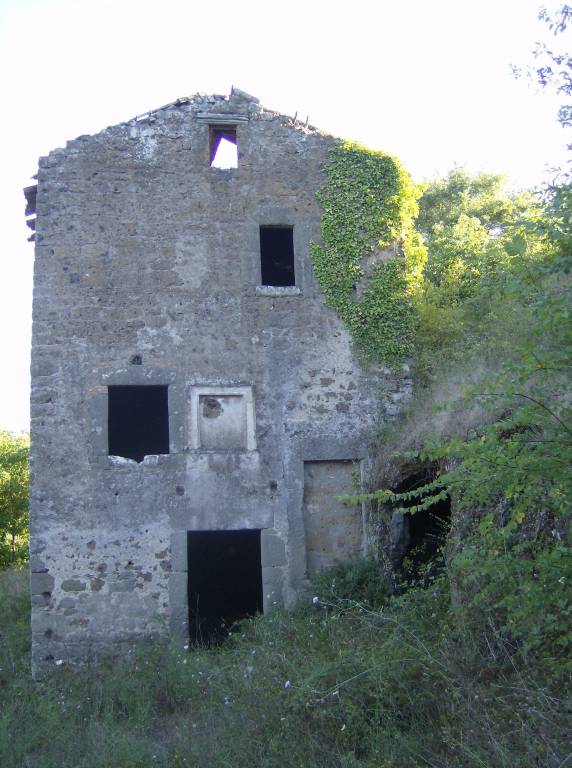 immagine annuncio 5 di 6