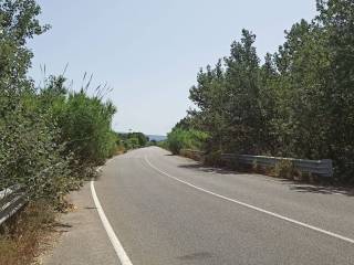 Terreno agricolo in vendita a terralba strada provinciale di terralba