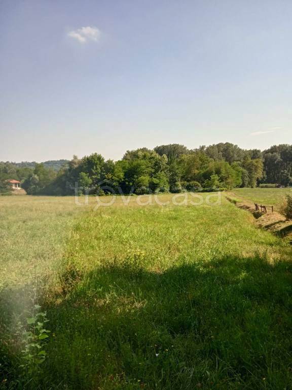 immagine annuncio 5 di 11