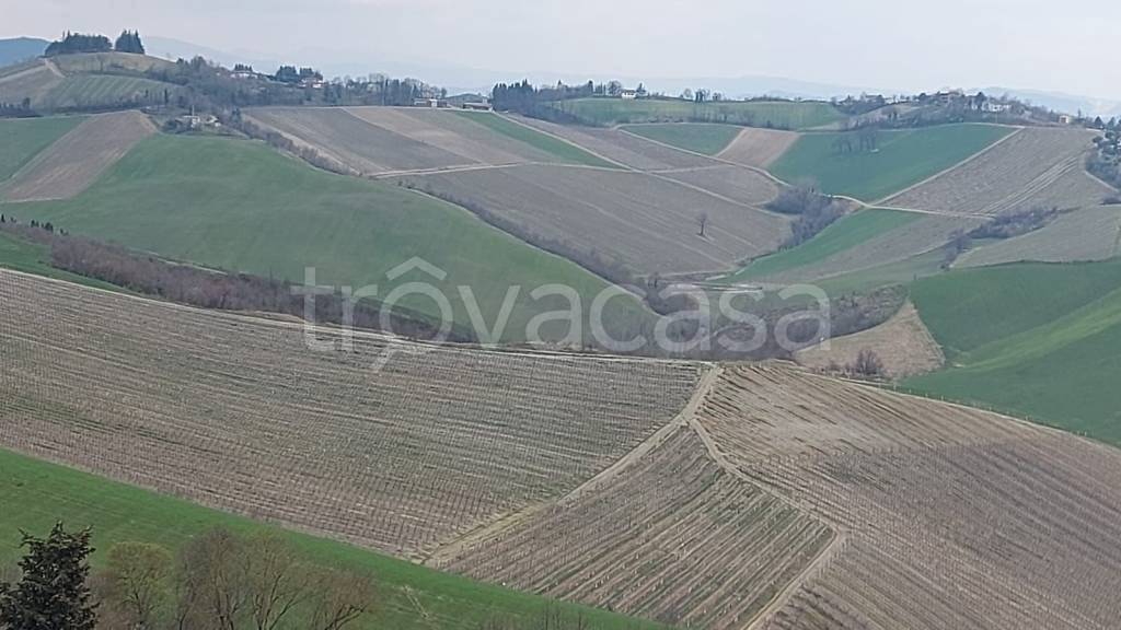 Terreno Agricolo in vendita a Riolo Terme via Caduti di Toranello, 19