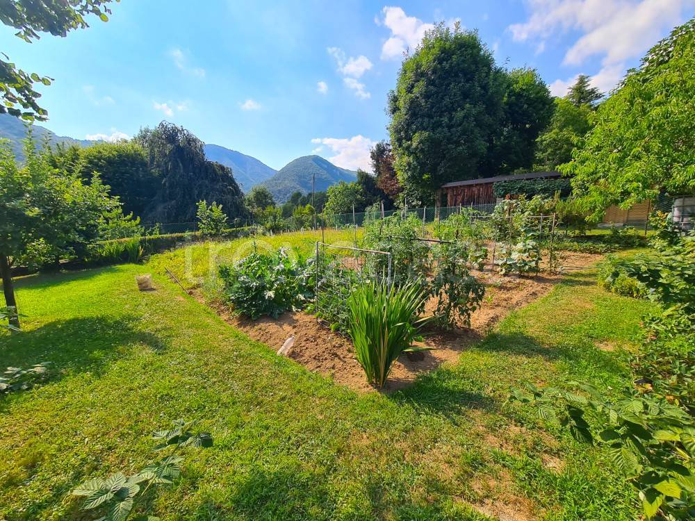 immagine annuncio 2 di 12