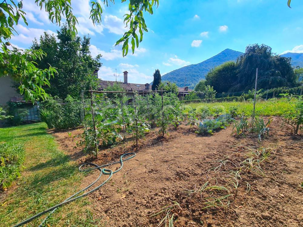 immagine annuncio 5 di 12