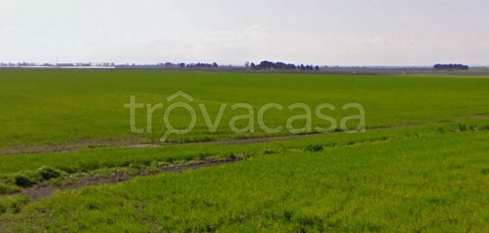 Terreno Agricolo in vendita a Rignano Garganico sp24