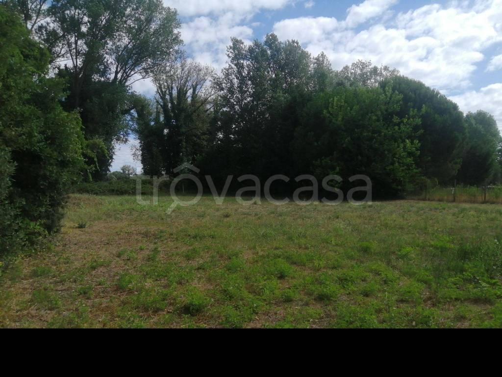 Terreno Agricolo in vendita a Comacchio viale Leonida Patrignani, 49
