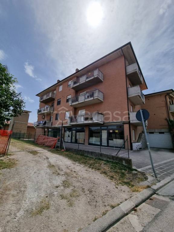 immagine annuncio 5 di 8