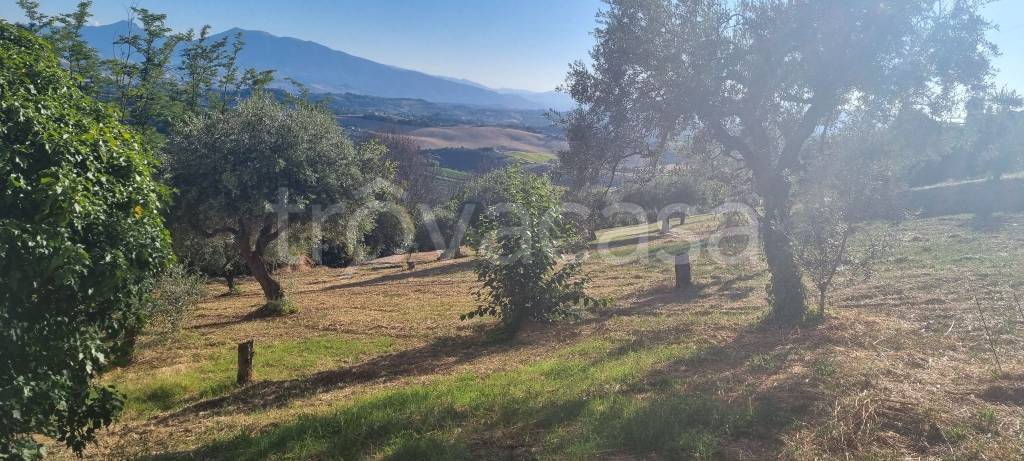 immagine annuncio 1 di 6