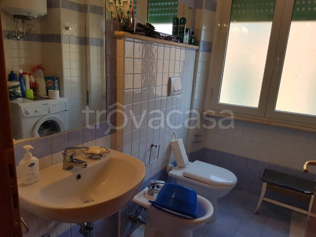 immagine annuncio 6 di 14