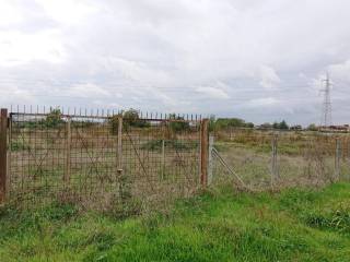 Terreno agricolo in vendita ad acerra strada provinciale pomigliano-acerra