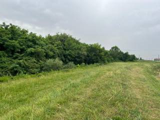 Terreno agricolo in vendita a ozzano dell'emilia via pedagna, 9