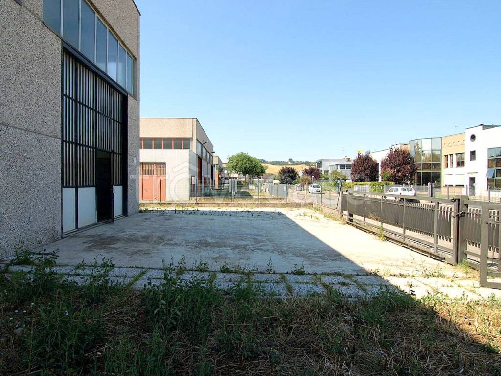 immagine annuncio 1 di 14