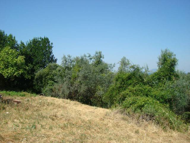 immagine annuncio 6 di 14