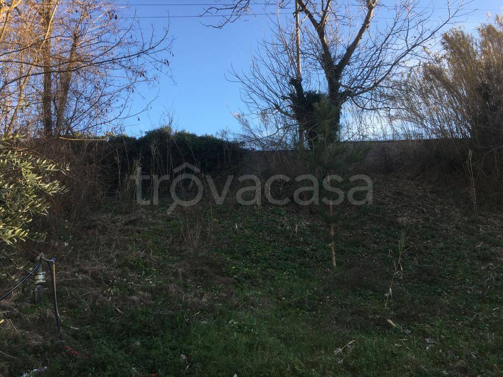immagine annuncio 5 di 11