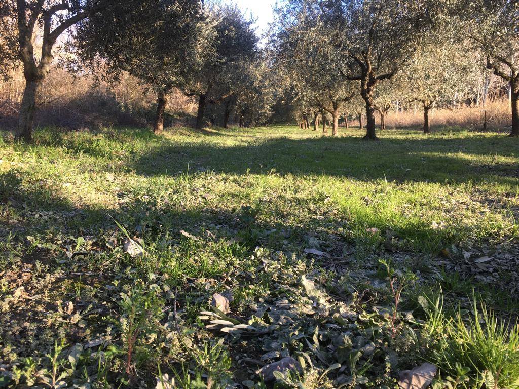 immagine annuncio 10 di 11