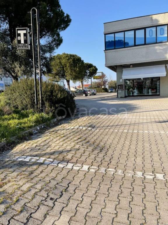 immagine annuncio 2 di 12