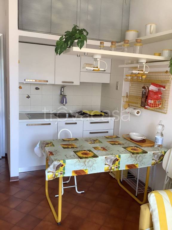 Appartamento in in affitto da privato a San Bartolomeo al Mare via Asilo, 31