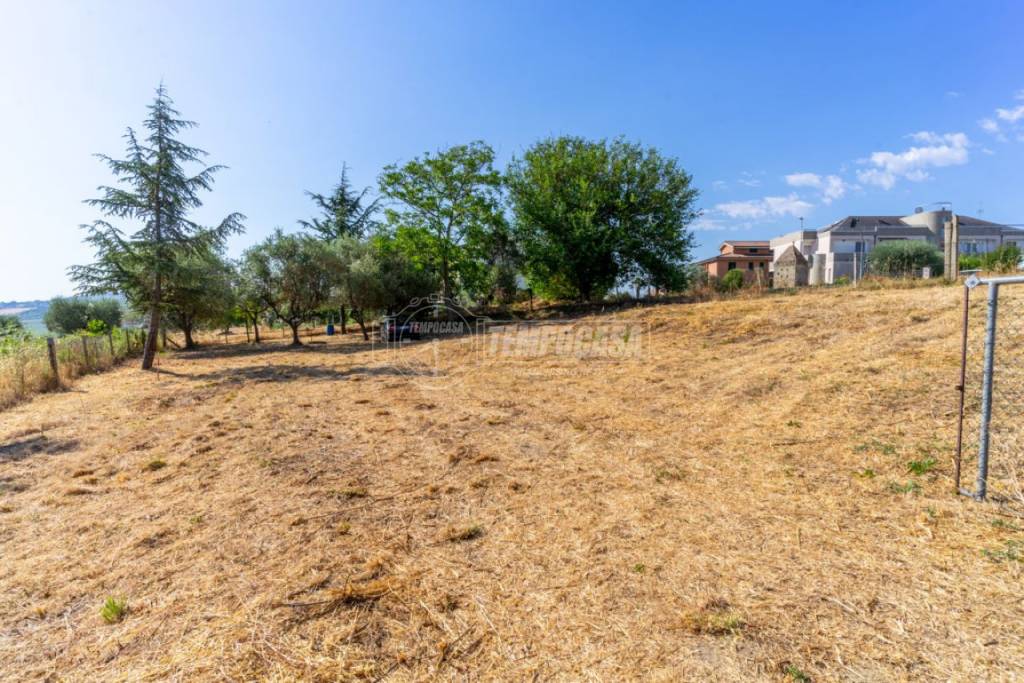 Terreno Residenziale in vendita a Montegranaro via Fermana Sud 405