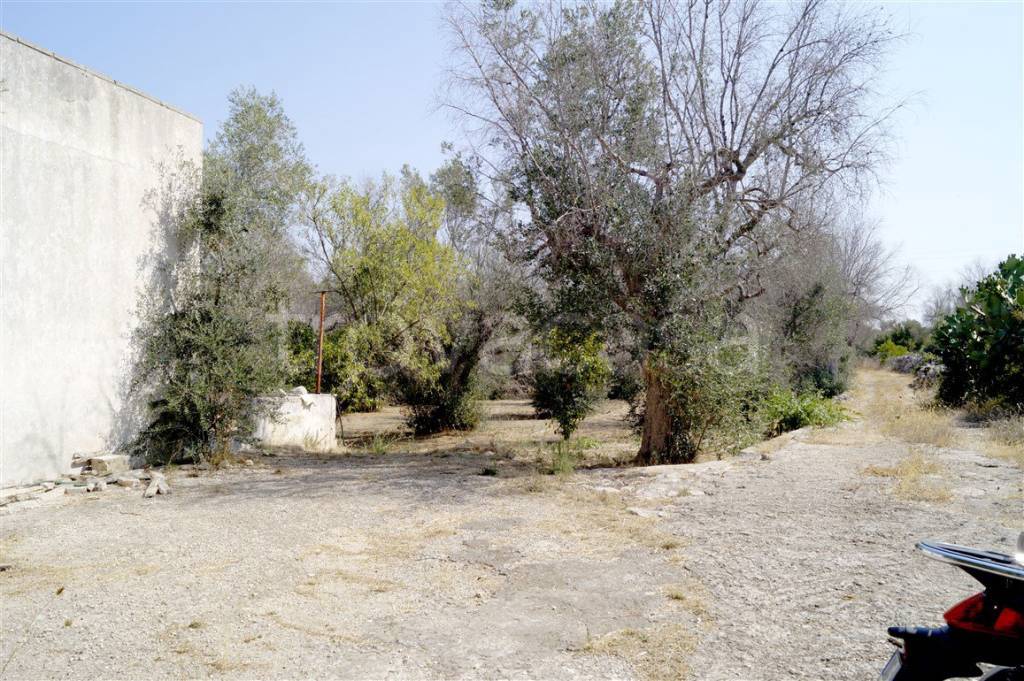 immagine annuncio 5 di 14