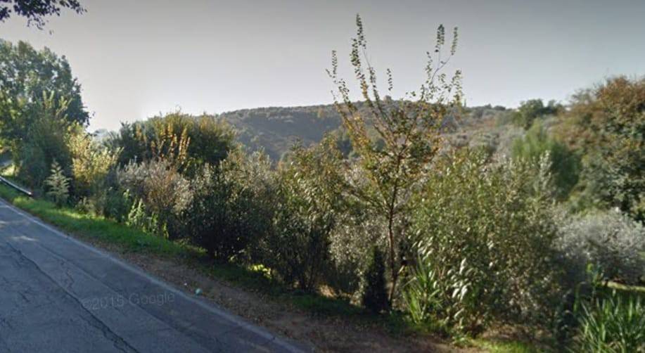 immagine annuncio 1 di 2