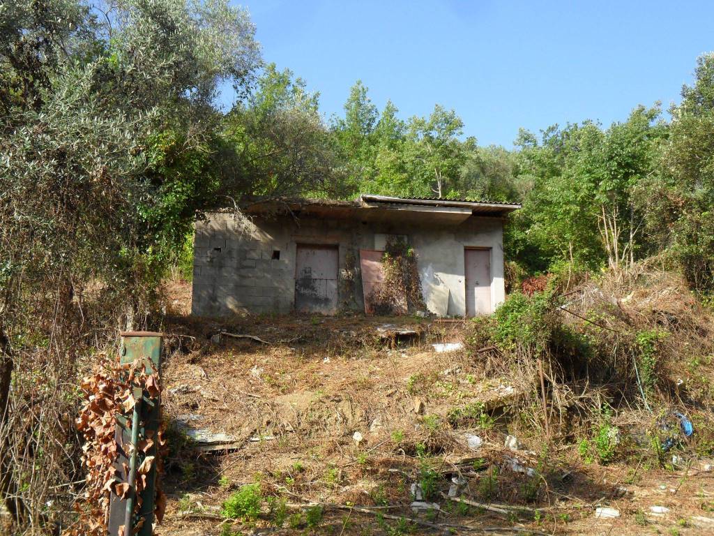 immagine annuncio 2 di 8